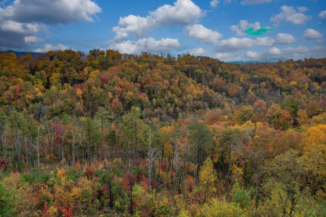 The Overlook - '21 Cabin - Gorgeous Unobstructed Views - Fire Pit Table - Gamerm - Hottub - Xbox - Lots Of Bears Gatlinburg Bagian luar foto